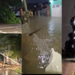 Temporal provoca interrupção de energia, queda de árvores e alagamentos em Manaus