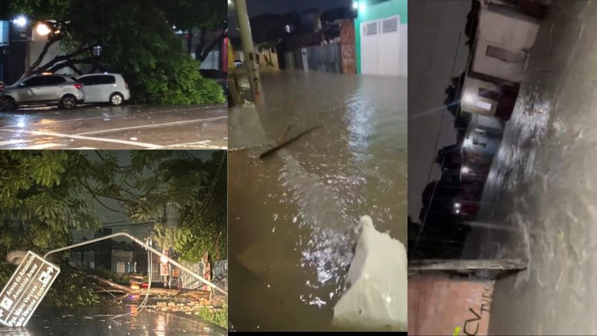 Temporal provoca interrupção de energia, queda de árvores e alagamentos em Manaus