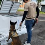 PF apreende 182 kg de maconha e armas em carga de eletrodomésticos em Manaus