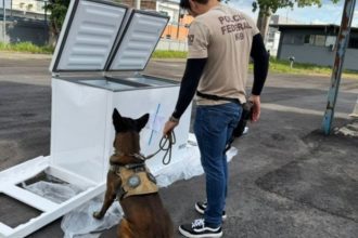 PF apreende 182 kg de maconha e armas em carga de eletrodomésticos em Manaus