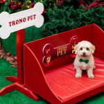 Manauara anuncia programação natalina dedicada a pets