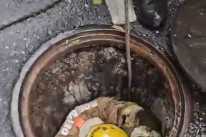 Filhote de gato é resgatado após cair em bueiro durante chuva