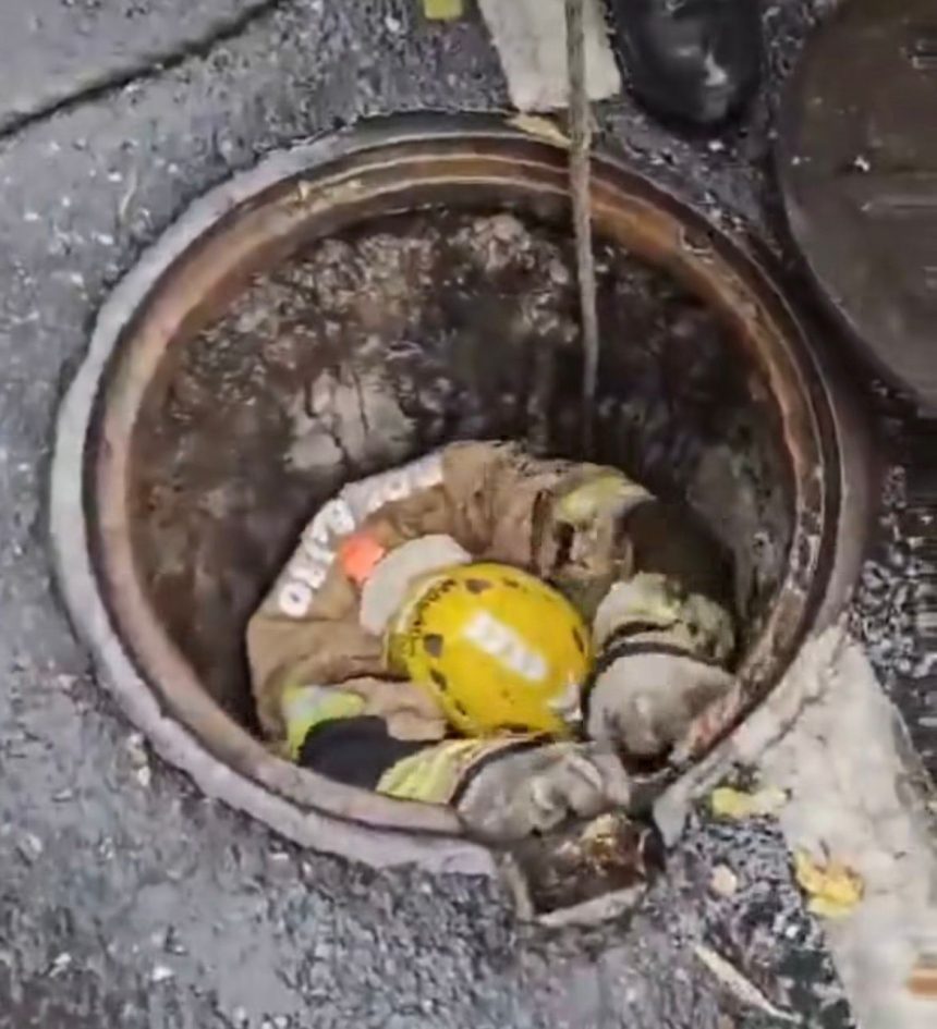 Filhote de gato é resgatado após cair em bueiro durante chuva