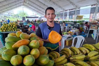 Confira programação das Feira de Produtos Regionais da semana