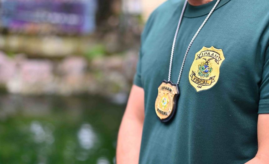 Amazonas tem 655 vagas em concursos e processos seletivos