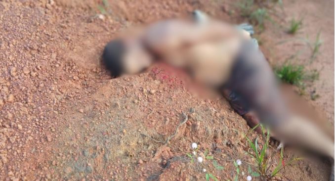 Corpo de homem é achado com mãos amarradas, tiros e facadas em Autazes