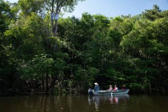 Ação do MPF pede suspensão de créditos de carbono no AM