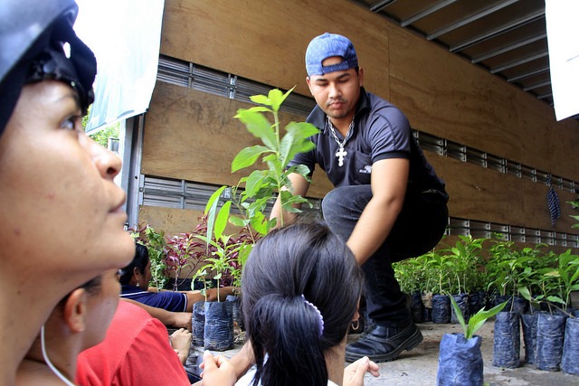 Vila da Prata recebe distribuição de mudas de plantas