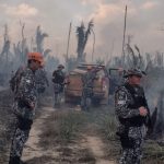 Operação Tamoiotatá aplicou R$ 144,7 milhões em multas no AM