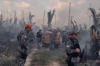 Operação Tamoiotatá aplicou R$ 144,7 milhões em multas no AM