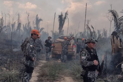 Operação Tamoiotatá aplicou R$ 144,7 milhões em multas no AM