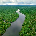 Governo do Brasil aprova novo Plano Clima