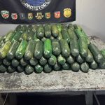 Mulher é presa com 70 kg de drogas disfarçados de pepino em embarcação no AM