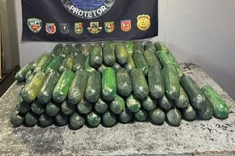 Mulher é presa com 70 kg de drogas disfarçados de pepino em embarcação no AM