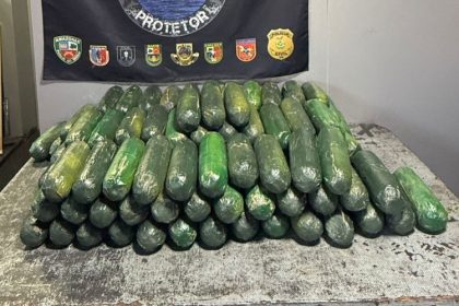Mulher é presa com 70 kg de drogas disfarçados de pepino em embarcação no AM