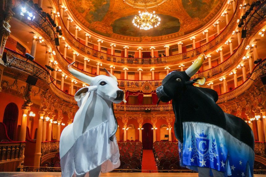 Inscrições para a 1ª Teia Amazonas começam nesta quinta