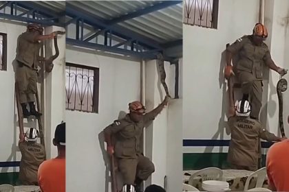 Jiboia é resgata após ser encontrada em telhado de shopping em Manacapuru