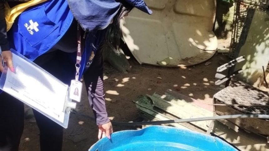 Amazonas registra aumento expressivo de casos de chikungunya em 2025