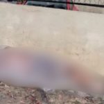 Homem é encontra morto na avenida Noel Nutel, em Manaus