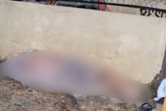 Homem é encontra morto na avenida Noel Nutel, em Manaus