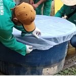 Boletim epidemiológico aponta redução da dengue e variação de arboviroses no AM