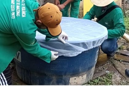 Boletim epidemiológico aponta redução da dengue e variação de arboviroses no AM