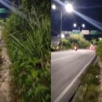 Calçada tomada por mato obriga pedestres a andar pela rua na Avenida Noel Nutels