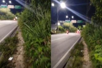 Calçada tomada por mato obriga pedestres a andar pela rua na Avenida Noel Nutels