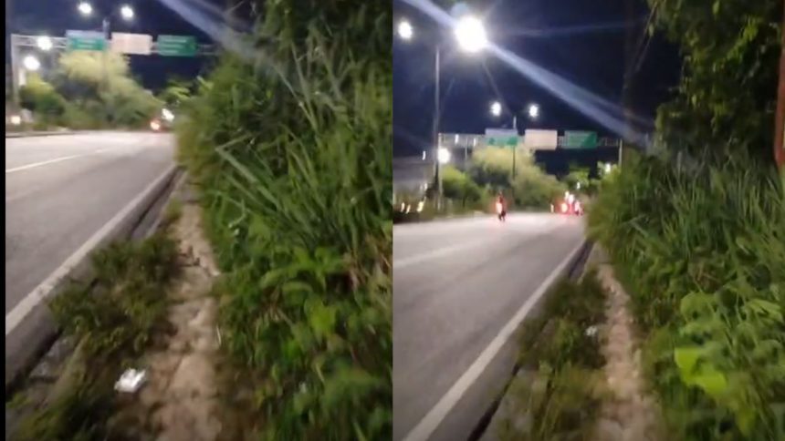 Calçada tomada por mato obriga pedestres a andar pela rua na Avenida Noel Nutels