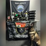 Mais de 35 kg de drogas, incluindo óleo de maconha, são apreendidos no Amazonas