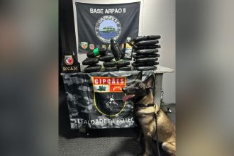 Mais de 35 kg de drogas, incluindo óleo de maconha, são apreendidos no Amazonas