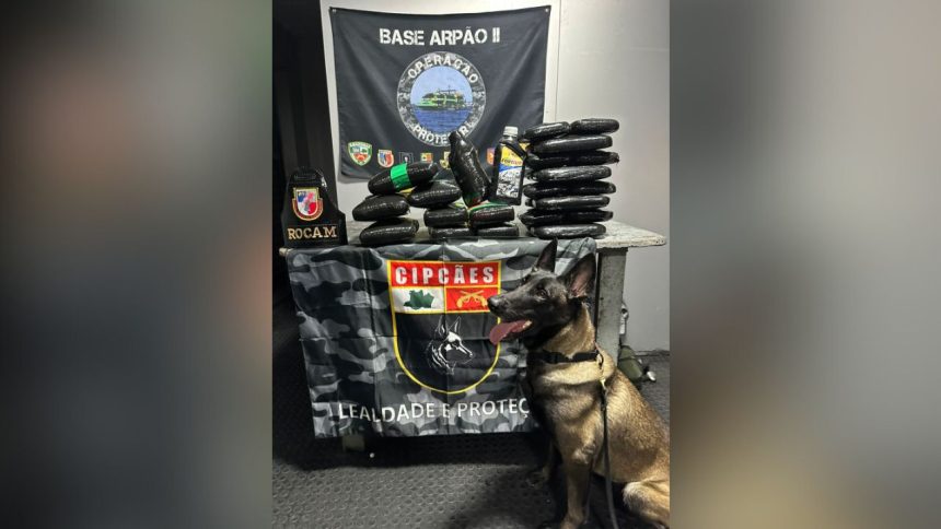 Mais de 35 kg de drogas, incluindo óleo de maconha, são apreendidos no Amazonas