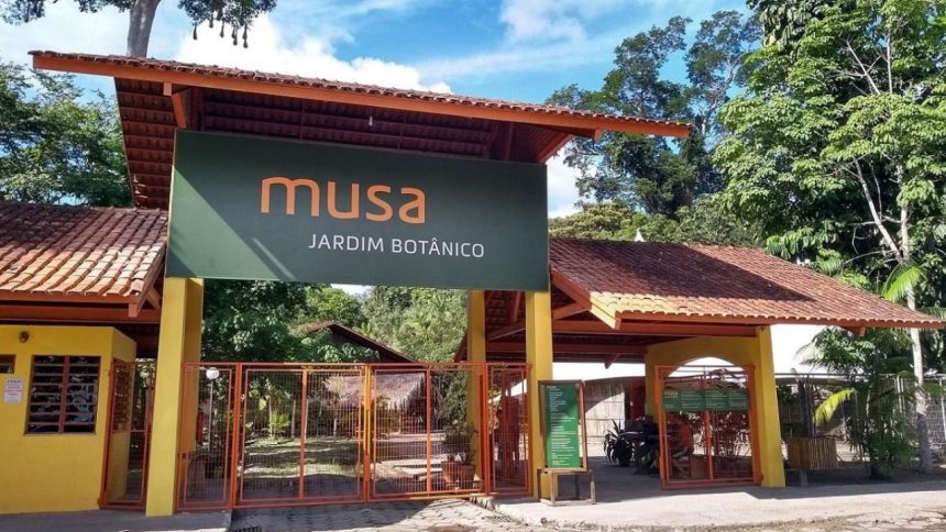 Turistas são amarrados em banheiros durante assalto no Musa