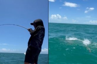 Tubarão tenta roubar peixe e pescaria vira cena de adrenalina