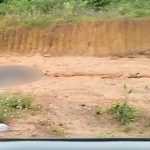 Corpo dentro de saco preto é encontrado às margens de rodovia no Amazonas