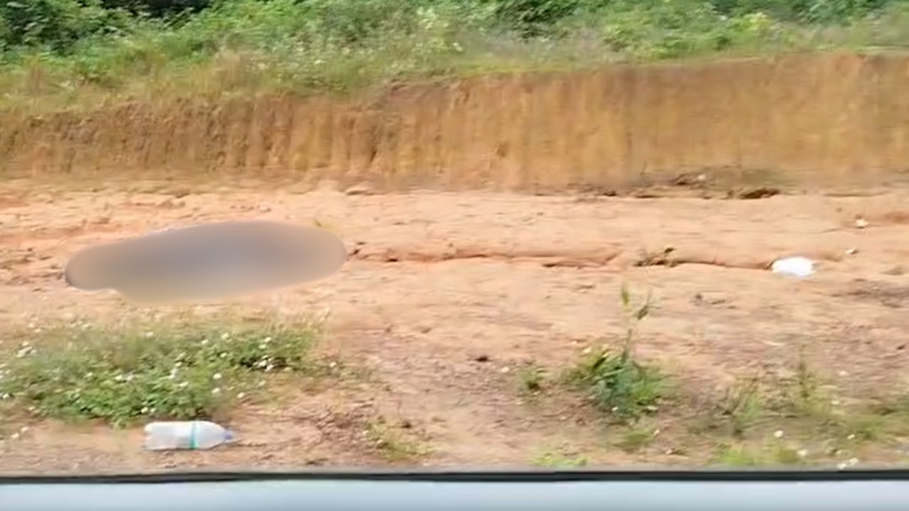 Corpo dentro de saco preto é encontrado às margens de rodovia no Amazonas