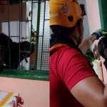 Cadela é resgatada pelos Bombeiros após ficar presa em grade durante chuva em Manaus