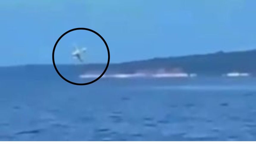 Vídeo mostra exato momento da queda do avião de pequeno porte no Rio Negro