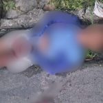 Homem fica gravemente ferido após ser baleado na cabeça em Manaus