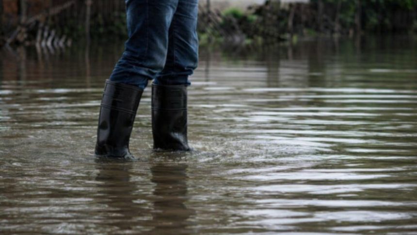 Chuvas intensas elevam risco de leptospirose no Amazonas