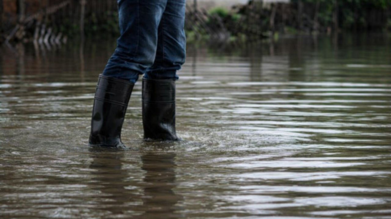 Chuvas intensas elevam risco de leptospirose no Amazonas