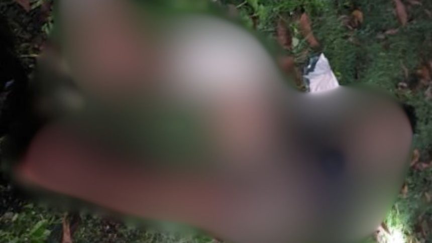 Homem é baleado e abandonado em área de mata na Zona Norte de Manaus