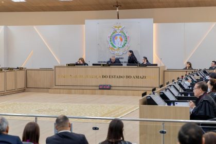 TJAM invalida dispositivos de lei sobre custódia de advogados