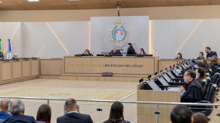 TJAM invalida dispositivos de lei sobre custódia de advogados