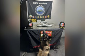 Homem é preso transportando oito quilos de maconha para Manaus