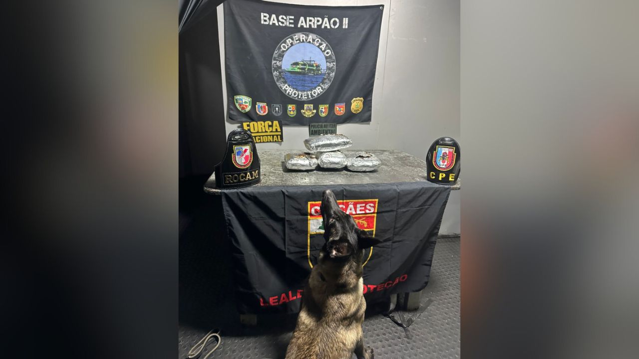 Homem é preso transportando oito quilos de maconha para Manaus