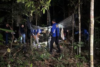 Mulher é encontrada morta em área de mata da UFAM; companheiro suspeito é preso