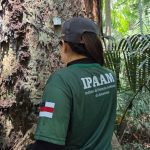 Defeso Florestal: corte e transporte de árvores proibidos no AM