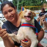 Semsa divulga calendário de vagas para castração de cães e gatos