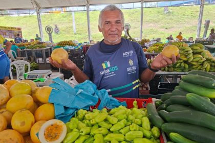 Feiras de Produtos Regionais retornam a partir desta terça (6)